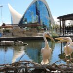 Oceanogràfic de Valencia: Entrada