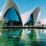 Oceanogràfic de Valencia: Entrada