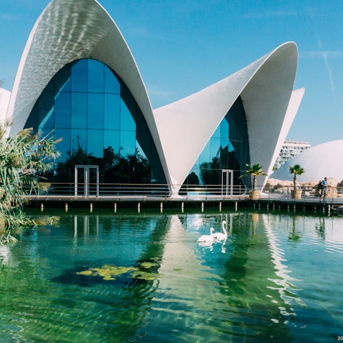Oceanogràfic de Valencia: Entrada Oceanogràfic de Valencia: Entrada