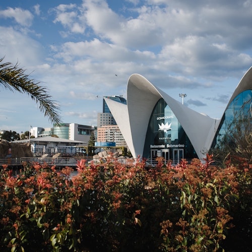Oceanogràfic de Valencia: Entrada