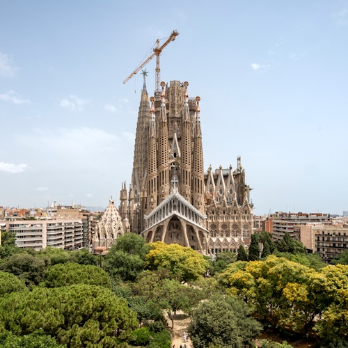 Vista aérea de la basílica de la Sagrada Familia de Barcelona rodeada de árboles y edificios de la ciudad, con una grúa visible en la parte superior.