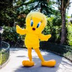 Piolin Parque Warner