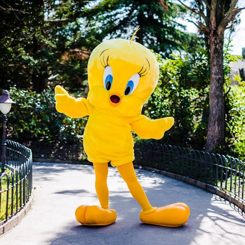 Piolin Parque Warner