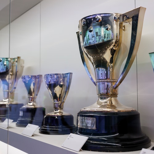 Several trophies of varying sizes are displayed on shelves, each with a plaque and card, inside a glass case.